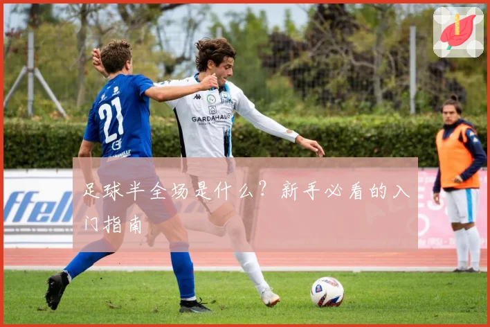 足球半全场是什么？新手必看的入门指南
