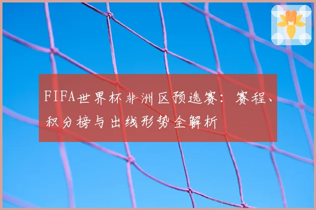 FIFA世界杯非洲区预选赛:赛程、积分榜与出线形势全解析