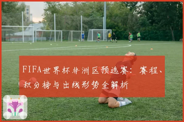 FIFA世界杯非洲区预选赛：赛程、积分榜与出线形势全解析